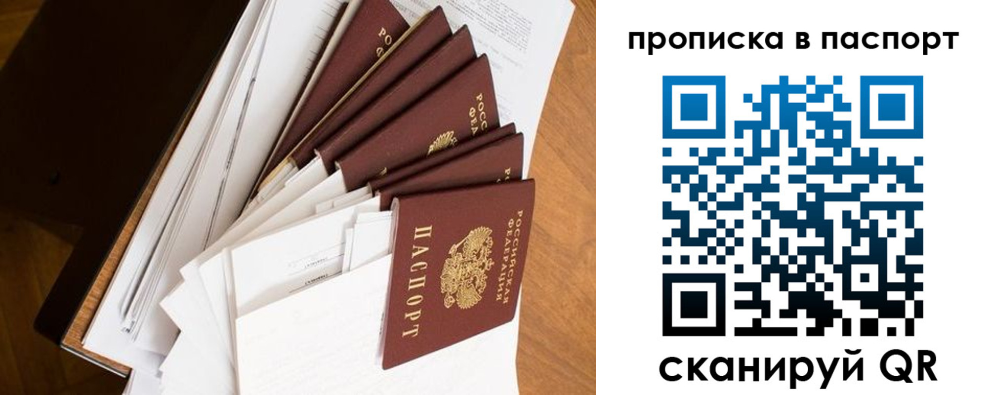 прописка штамп в Зверево